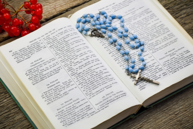 Jose Eduardo De Oliveira e Silva apresenta as iniciativas da Igreja Católica que unem fé e sustentabilidade na proteção do meio ambiente.