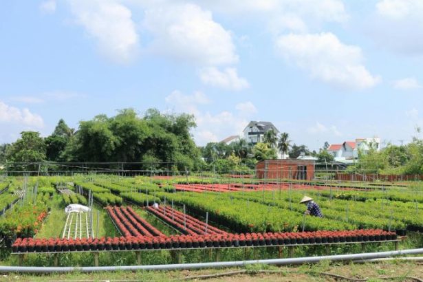 Parajara Moraes Alves Junior