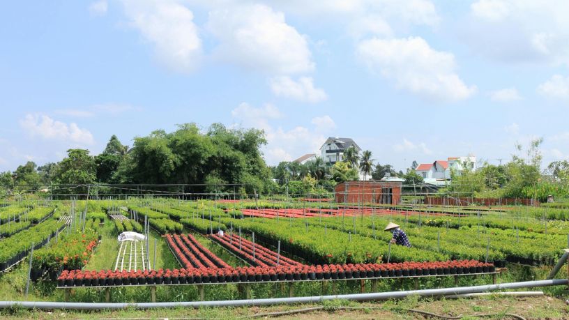 Parajara Moraes Alves Junior